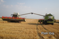 Bułgaria 2012 - 13