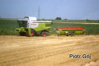 Bułgaria 2012 - 16