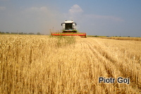 Bułgaria 2012 - 18