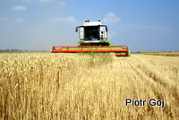 Bułgaria 2012 - 19